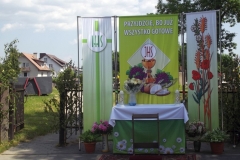 DSCF4619