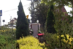 DSCF4621