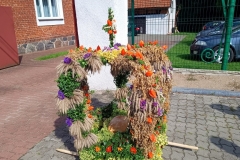 IMG_20230903_112144940